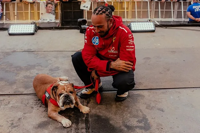 Los Momentos Más Tiernos de Roscoe y Lewis Hamilton en la Fórmula 1  
Una Mirada Especial a su Amistad en el Mundo del Automovilismo