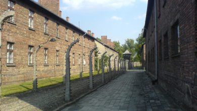 Desmantelan banda criminal en el oriente de la ciudad: 8 detenidos