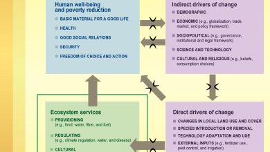 El éxito de la economía mexicana depende del bienestar de la base de la pirámide: Sheinbaum