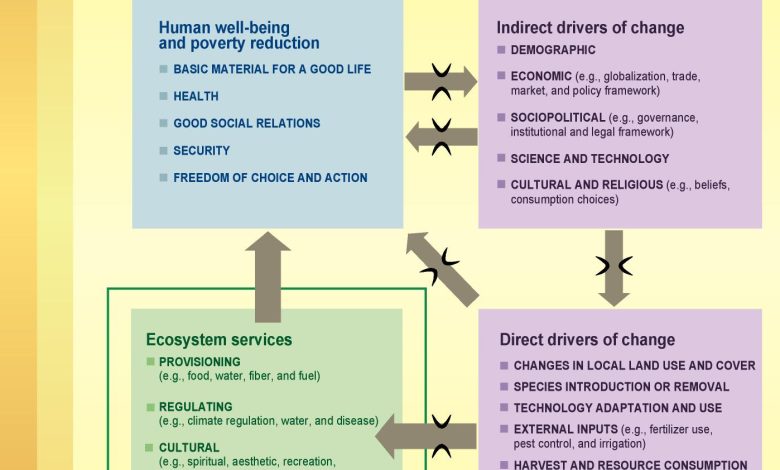 El éxito de la economía mexicana depende del bienestar de la base de la pirámide: Sheinbaum