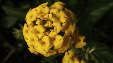 Calor extremo: Los 3 municipios más calurosos de Baja California este fin de semana