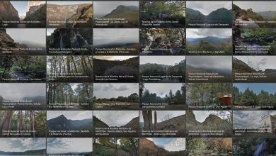 Descubre cómo seguir a El Heraldo de México en Google Discover para estar al tanto de las noticias y publicaciones