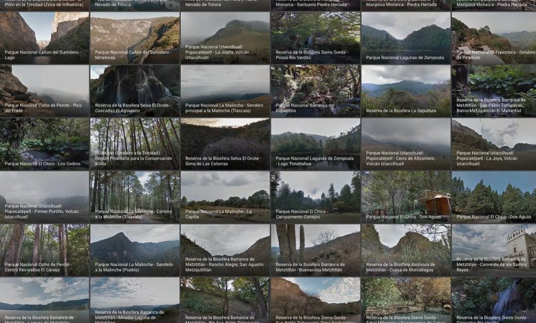 Descubre cómo seguir a El Heraldo de México en Google Discover para estar al tanto de las noticias y publicaciones