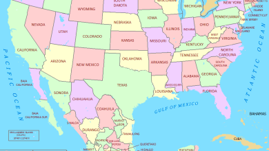 Claudia Sheinbaum respalda a los mexicanos en Estados Unidos