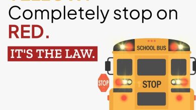 Posible suspensión de clases en nivel básico el jueves 2 de octubre, según calendario de la SEP