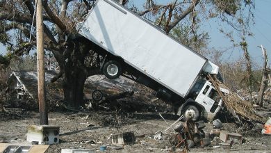 Tragedia en Azcapotzalco: Árbol cae y aplasta camión de refrescos