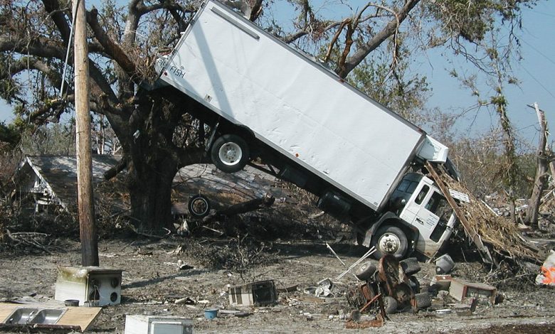 Tragedia en Azcapotzalco: Árbol cae y aplasta camión de refrescos