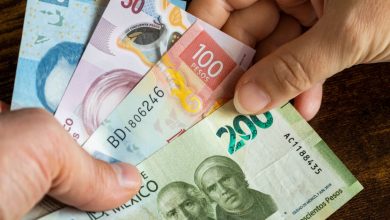 Aseguran 3 aeronaves y una pista clandestina en Arcelia: Operativo de la Fiscalía de Guerrero