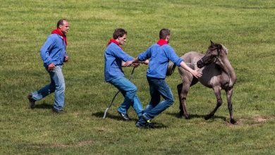 Se abre investigación por presunta negligencia en el Zoológico de La Pastora