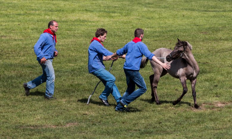 Se abre investigación por presunta negligencia en el Zoológico de La Pastora